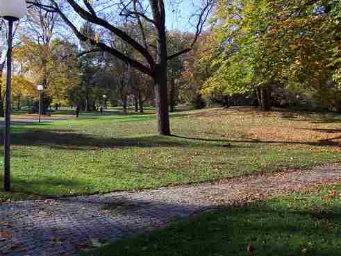 in der Mitte des Parks