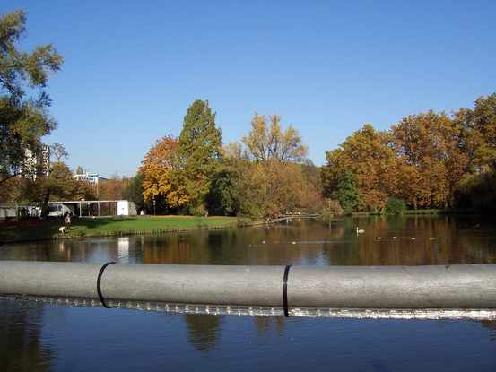 da saßen wir direkt im Café am Nil (draußen) und hatten einen wunderschönen Blick auf den "See"