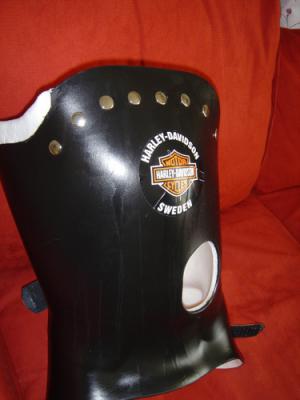Harley Davidson klein.jpg
