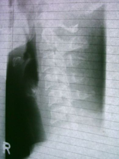 PHTO0127.JPG