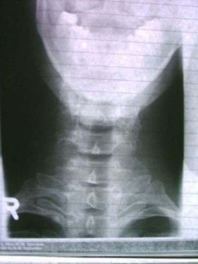 PHTO0123.JPG
