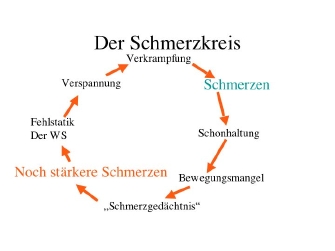 Schmerzkreisgrafik.jpg