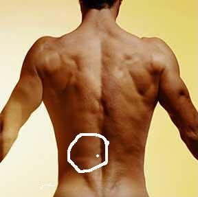 back.jpg