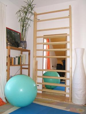 Sprossenwand 100 x 230 cm.jpg