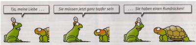 Frosch-Schildkröte-Rundrücken.jpg