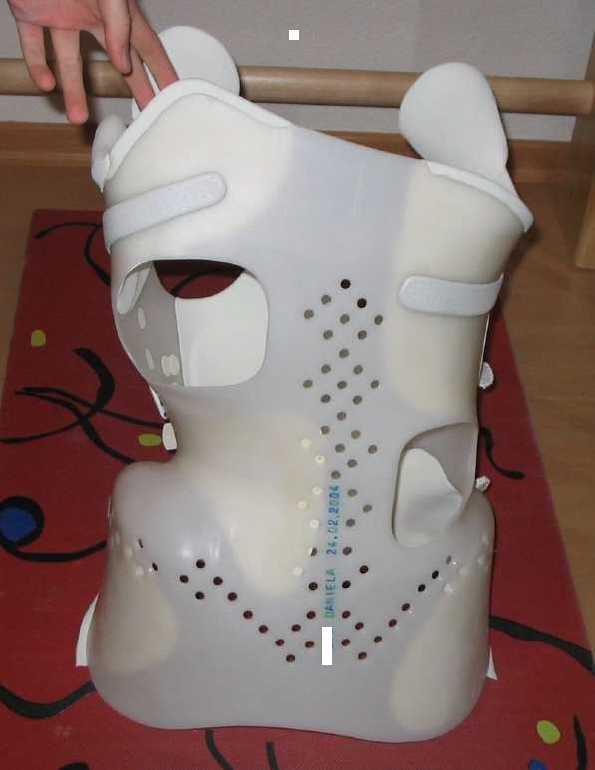 Rahmouni dorsal 1 .jpg