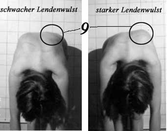vorneigetest1.jpg