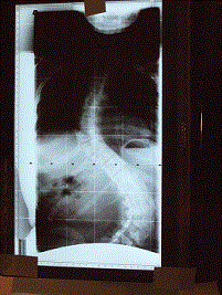 2005 gif.gif