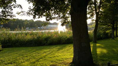 2014-08-07-1617-1.jpg