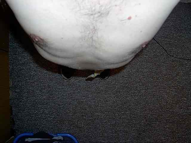 f.jpg