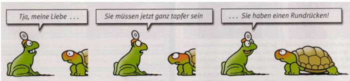 schildkroete_174.jpg