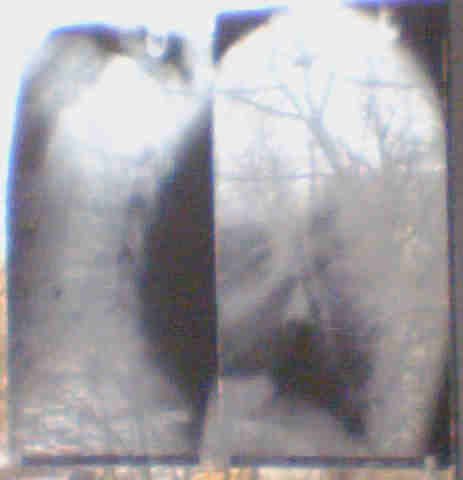 Bild 64.jpg 123.jpg