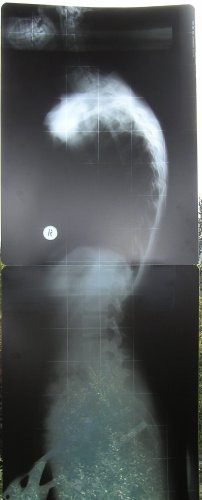 sany0002 (Kopie).jpg